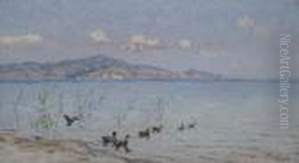 Anatre A Torre Del Lago - view 1