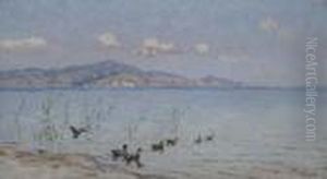 Anatre A Torre Del Lago by Angiolo Tommasi