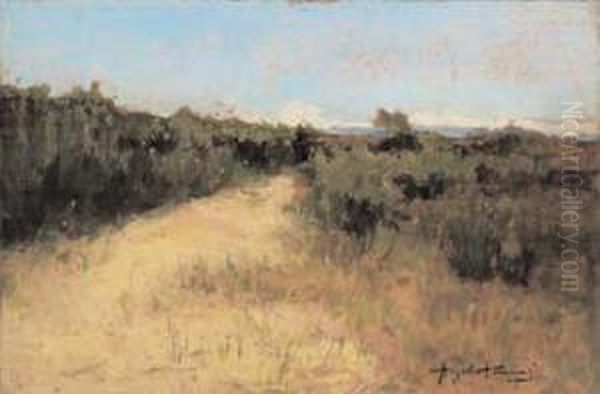 Paesaggio Toscano - view 1