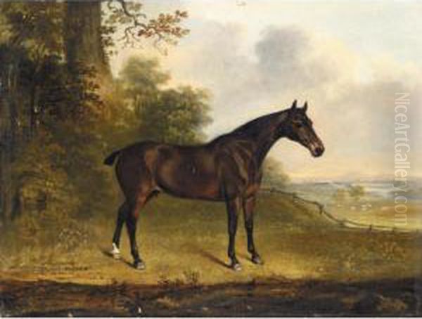 Portrait Of - view 1
