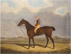 ``fulford' With Jockey Up by Clifton Tomson