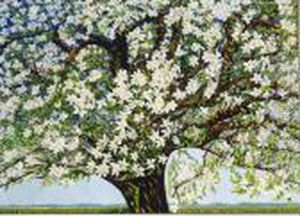 Beemster - Bloeiende Boom by Charley Toorop