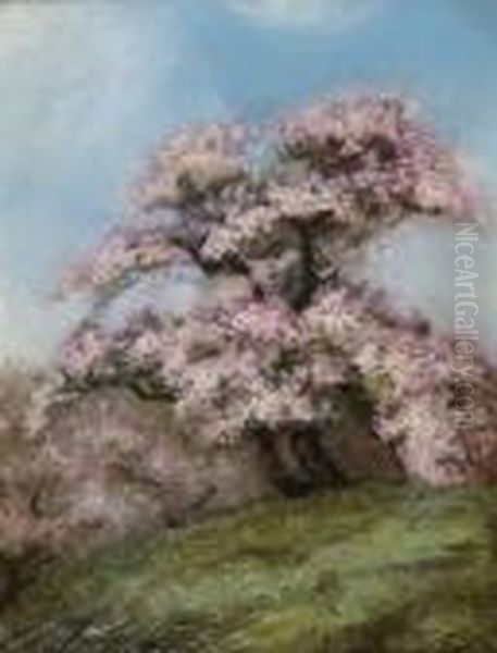 Lilac Trees - view 1