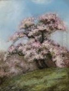Lilac Trees