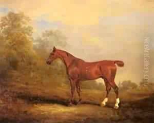 Cecil by John Faulkner