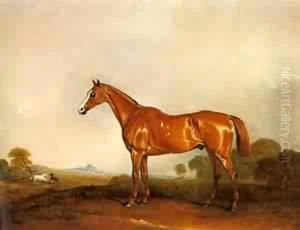 A Chestnut Hunter In A Landscape by John Faulkner