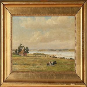 Tonballe Strand Vedhorsens