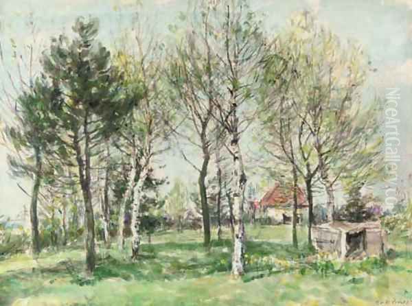 Birch trees in spring - view 1