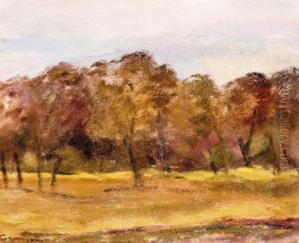 Erdo Szelen - view 1