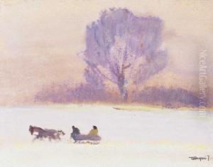 Winter Activity by Janos Tornyai