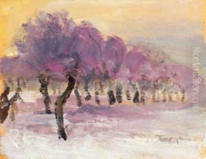 Winter Landscape With Purple Lights by Janos Tornyai