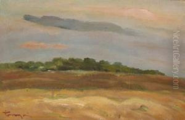 Tavaszi Domboldal - view 1