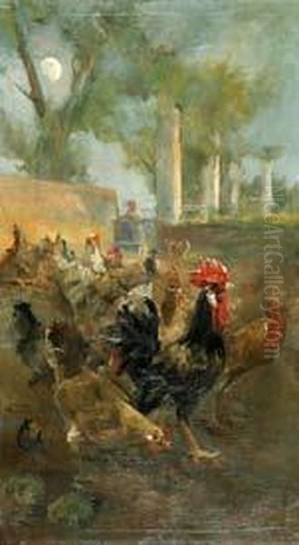Gallinero. - view 1