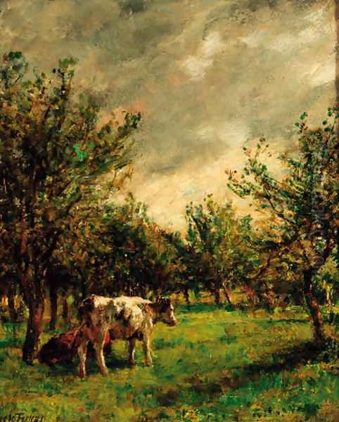 Cattle resting in an orchard - view 1