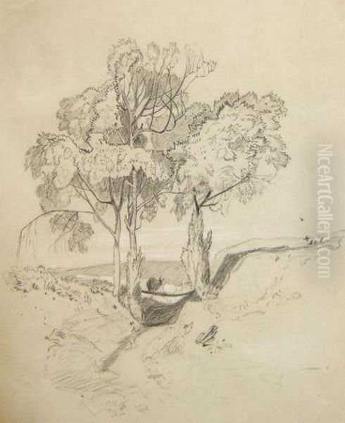 A Wooded Lane - view 1