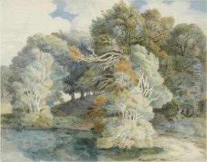 Trees By The Lake, Peamore Park, Near Exeter