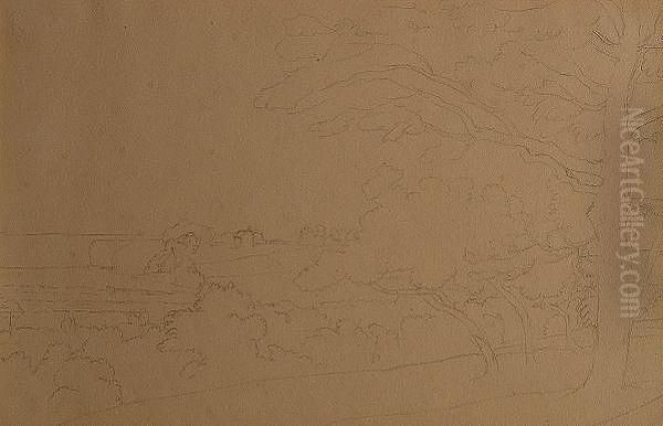Study Of Trees. - view 1