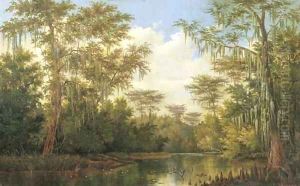 Water Lilies and Spanish Moss by Henry Chapman Ford