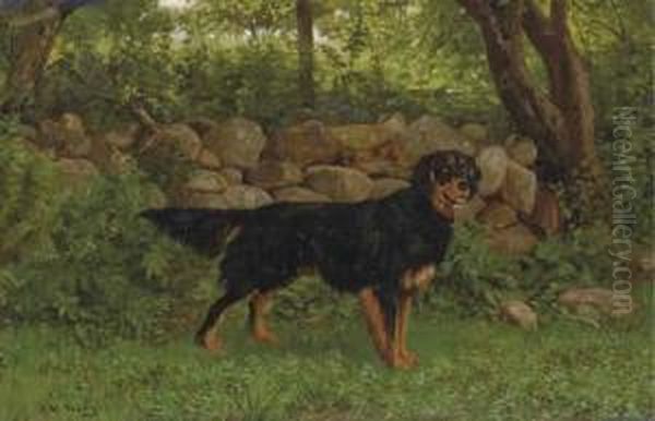 A Gordon Setter By A Wood - view 1