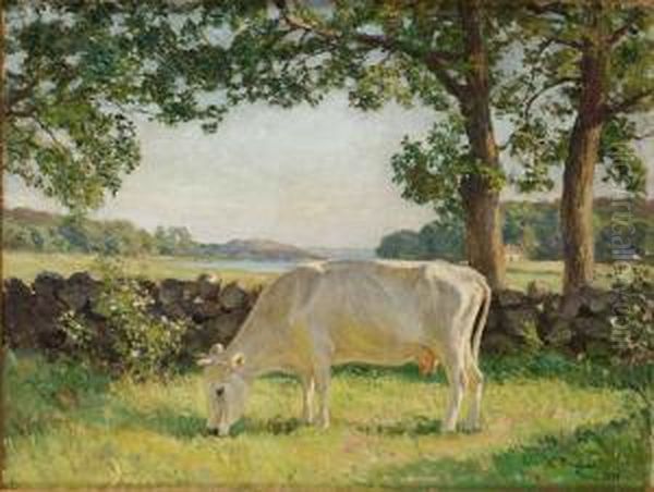 Ko I Sommarhage, Saro - view 1
