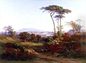 A View of Rome