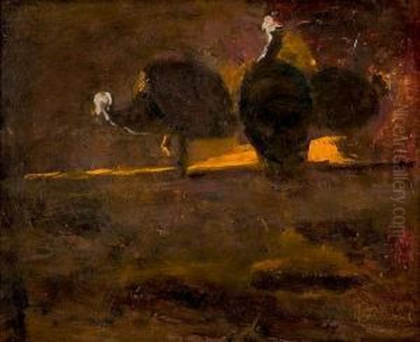 Turkeys - view 1