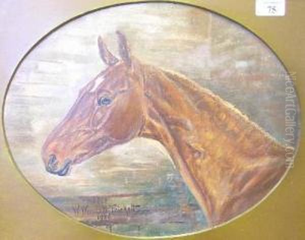 'firefly', Portrait Of A Horse - view 1