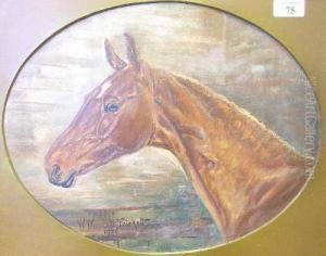 'firefly', Portrait Of A Horse by W. Wasdell Trickett