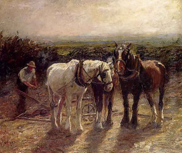 After Harvest - view 1