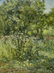 Paisagem
