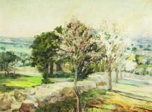 Paisagem Com Arvores by Falcao Trigoso