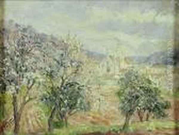 Amendoeiras (alte) - view 1