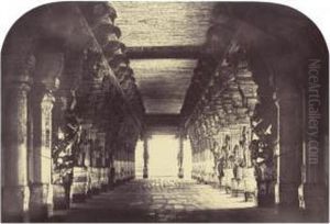 View Of The Nave From The Simhasanum At The Westend [sic]
