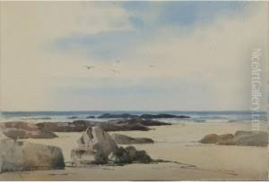 Maine Shore Maine Shore