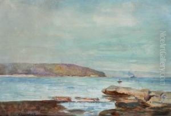 Sydney Harbour - view 1