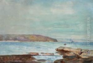 Sydney Harbour by John William Tristram