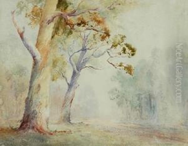 Misty Morning Landscape - view 1