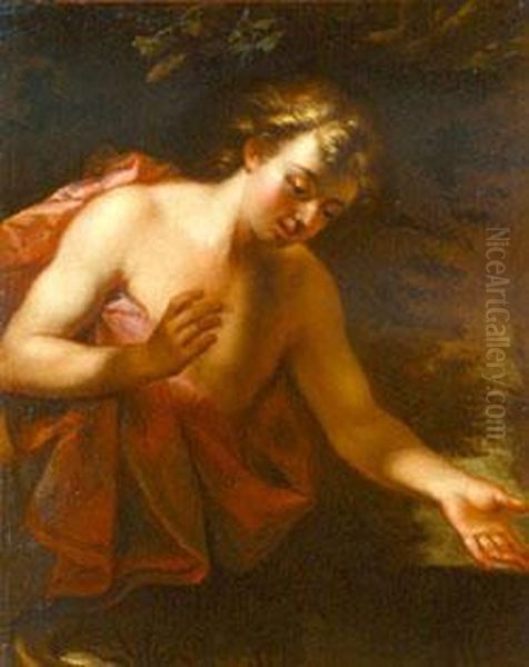 Narcissus - view 1