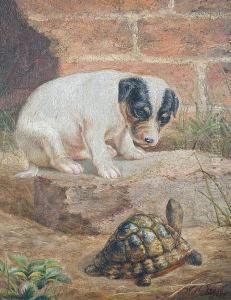 Curious Companions