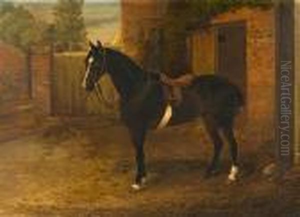 Chestnut Hunter Before A Stable - view 1