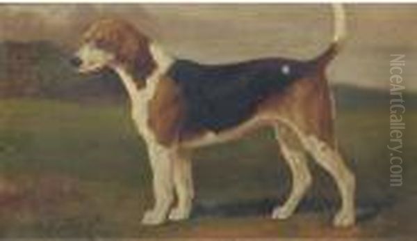 Banish A Hound - view 1