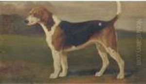 Banish A Hound by William Henry Hamilton Trood