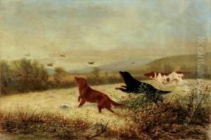 Too-fast by Newbold Hough Trotter
