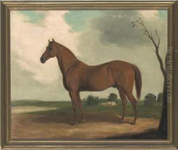 A Chestnut Horse - view 1