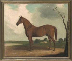 A Chestnut Horse