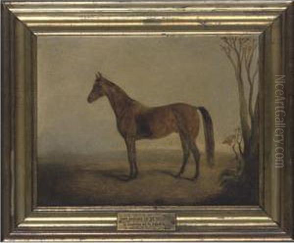 Knight Of St. George - view 1