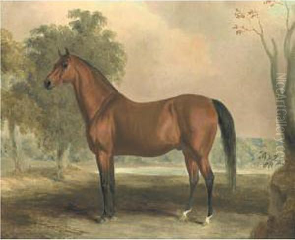Bertrand, By Sir Archy - view 1