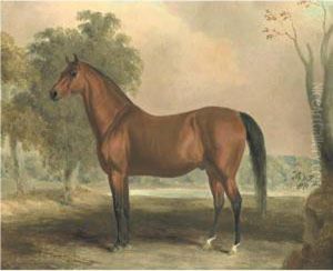Bertrand, By Sir Archy by Edward Troye