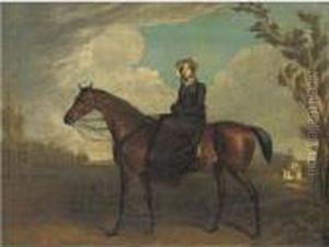 A Lady Riding Sidesaddle On A Chestnut Horse