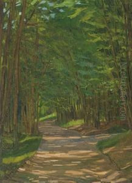 A Path In A Wooded Landscape - view 1